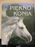 30.01.2019 P iękno Konia