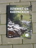 15.05.2019 D ziewięć sił Karpackich